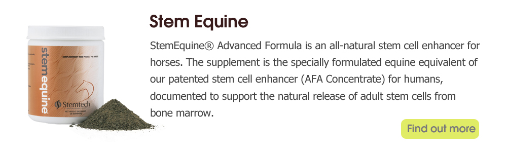 Stem Equine 2 Stem Equine 2